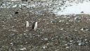 Filename=antartica-11.jpg
Filesize=258KiB
Dimensions=960x540
Date added=Apr 11, 2016 antartica-11.jpg