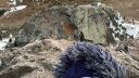Filename=antartica-22.jpg
Filesize=256KiB
Dimensions=960x540
Date added=Apr 11, 2016 antartica-22.jpg