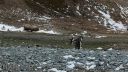 Filename=antartica-24.jpg
Filesize=243KiB
Dimensions=960x540
Date added=Apr 11, 2016 antartica-24.jpg
