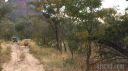 Filename=south-africa-marathon-01.jpg
Filesize=74KiB
Dimensions=960x539
Date added=Jun 25, 2016 south-africa-marathon-01.jpg