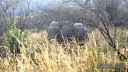Filename=south-africa-marathon-02.jpg
Filesize=159KiB
Dimensions=960x540
Date added=Jun 25, 2016 south-africa-marathon-02.jpg