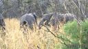 Filename=south-africa-marathon-03.jpg
Filesize=124KiB
Dimensions=960x540
Date added=Jun 25, 2016 south-africa-marathon-03.jpg