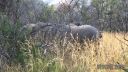 Filename=south-africa-marathon-04.jpg
Filesize=144KiB
Dimensions=960x540
Date added=Jun 25, 2016 south-africa-marathon-04.jpg