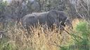 Filename=south-africa-marathon-05.jpg
Filesize=141KiB
Dimensions=960x540
Date added=Jun 25, 2016 south-africa-marathon-05.jpg