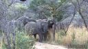 Filename=south-africa-marathon-08.jpg
Filesize=120KiB
Dimensions=960x540
Date added=Jun 25, 2016 south-africa-marathon-08.jpg