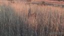 Filename=south-africa-marathon-11.jpg
Filesize=111KiB
Dimensions=960x540
Date added=Jun 25, 2016 south-africa-marathon-11.jpg
