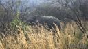 Filename=south-africa-marathon-12.jpg
Filesize=148KiB
Dimensions=960x540
Date added=Jun 25, 2016 south-africa-marathon-12.jpg