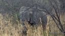 Filename=south-africa-marathon-14.jpg
Filesize=128KiB
Dimensions=960x540
Date added=Jun 25, 2016 south-africa-marathon-14.jpg