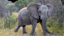 Filename=south-africa-marathon-15.jpg
Filesize=136KiB
Dimensions=960x540
Date added=Jun 25, 2016 south-africa-marathon-15.jpg