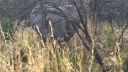 Filename=south-africa-marathon-30.jpg
Filesize=133KiB
Dimensions=960x540
Date added=Jun 25, 2016 south-africa-marathon-30.jpg